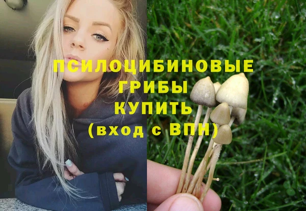 бошки Кукмор
